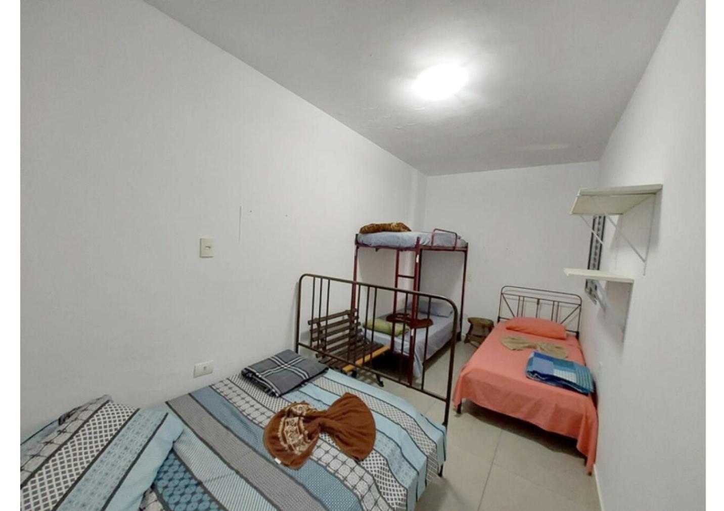 Girassol Madalena São Paulo