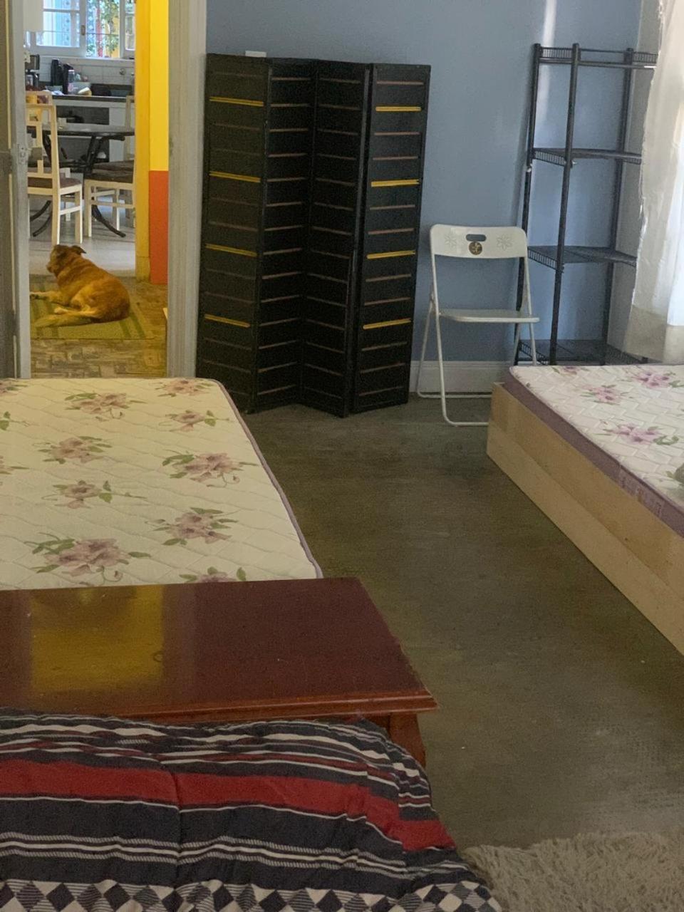 Hostel Espaco Colaborativo Coexistir Sao Paulo