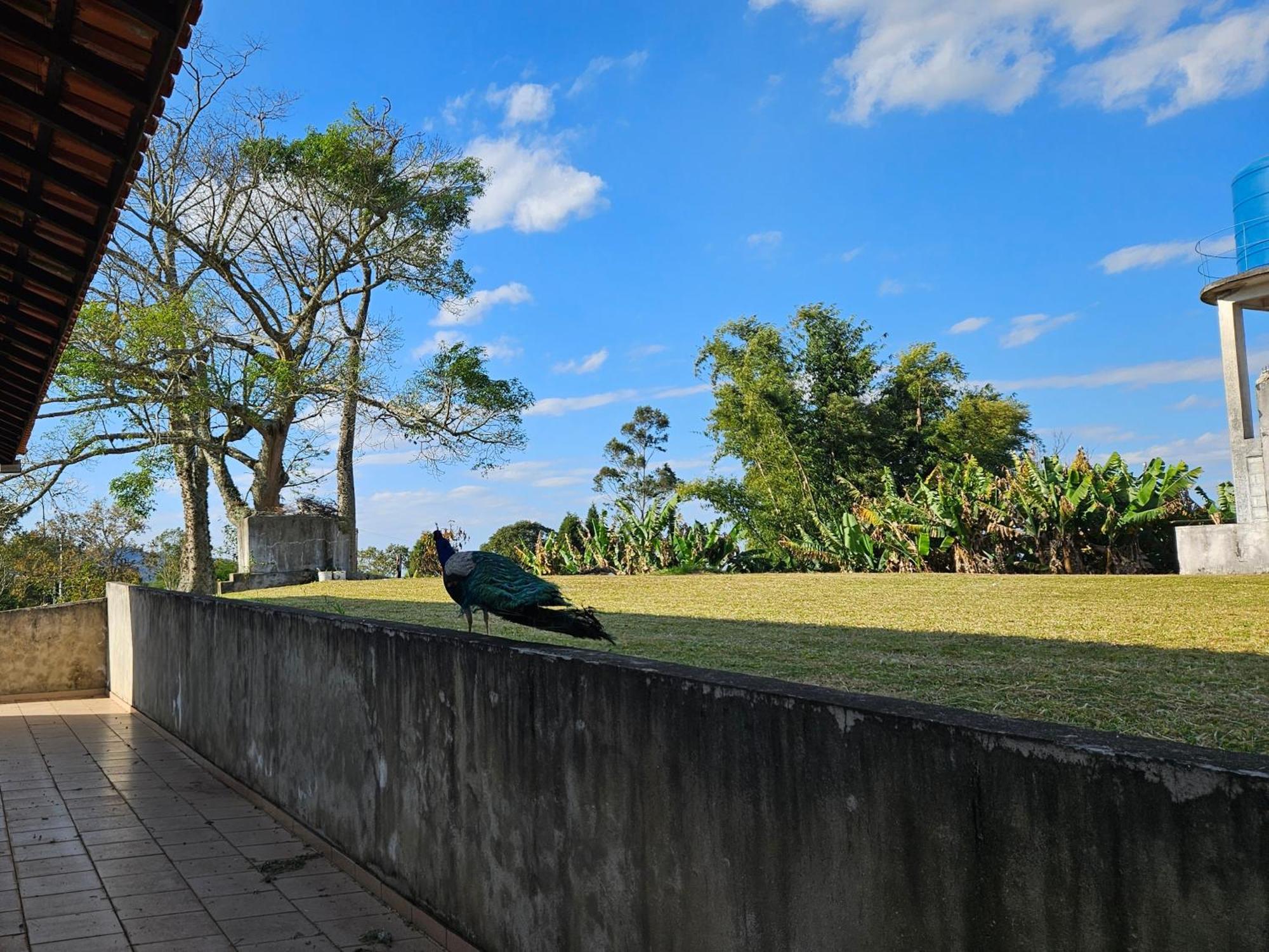 Nhà nghỉ Sitio Santa Filomena - Sao Roque *