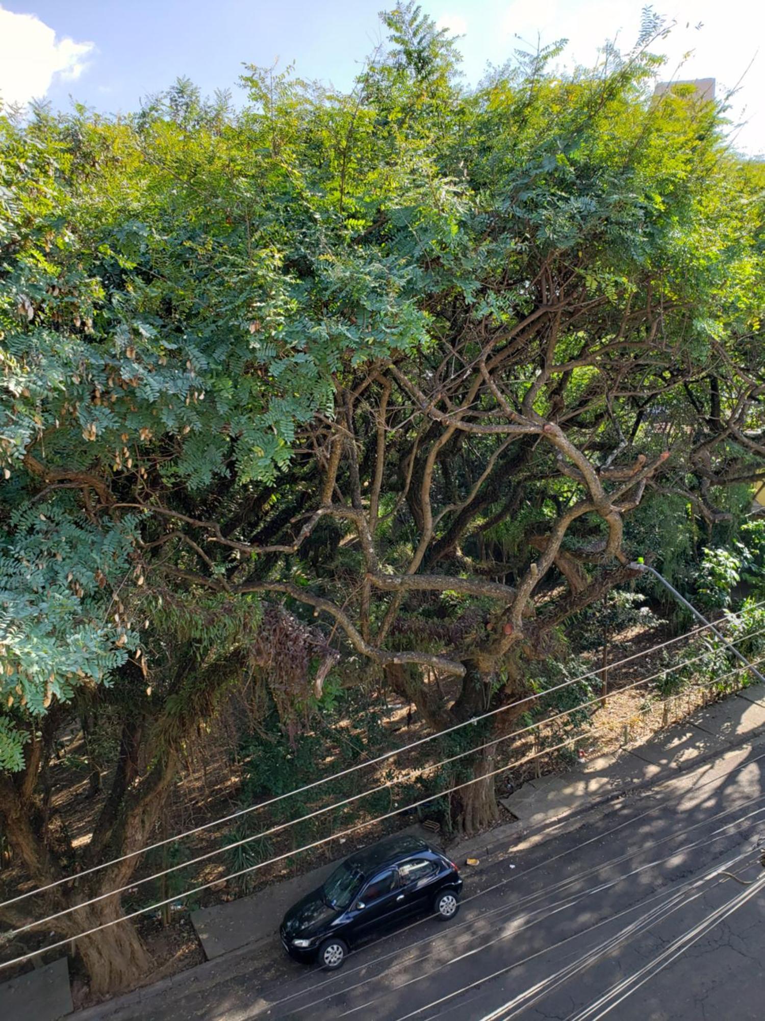 Monte Siao * Sao Paulo