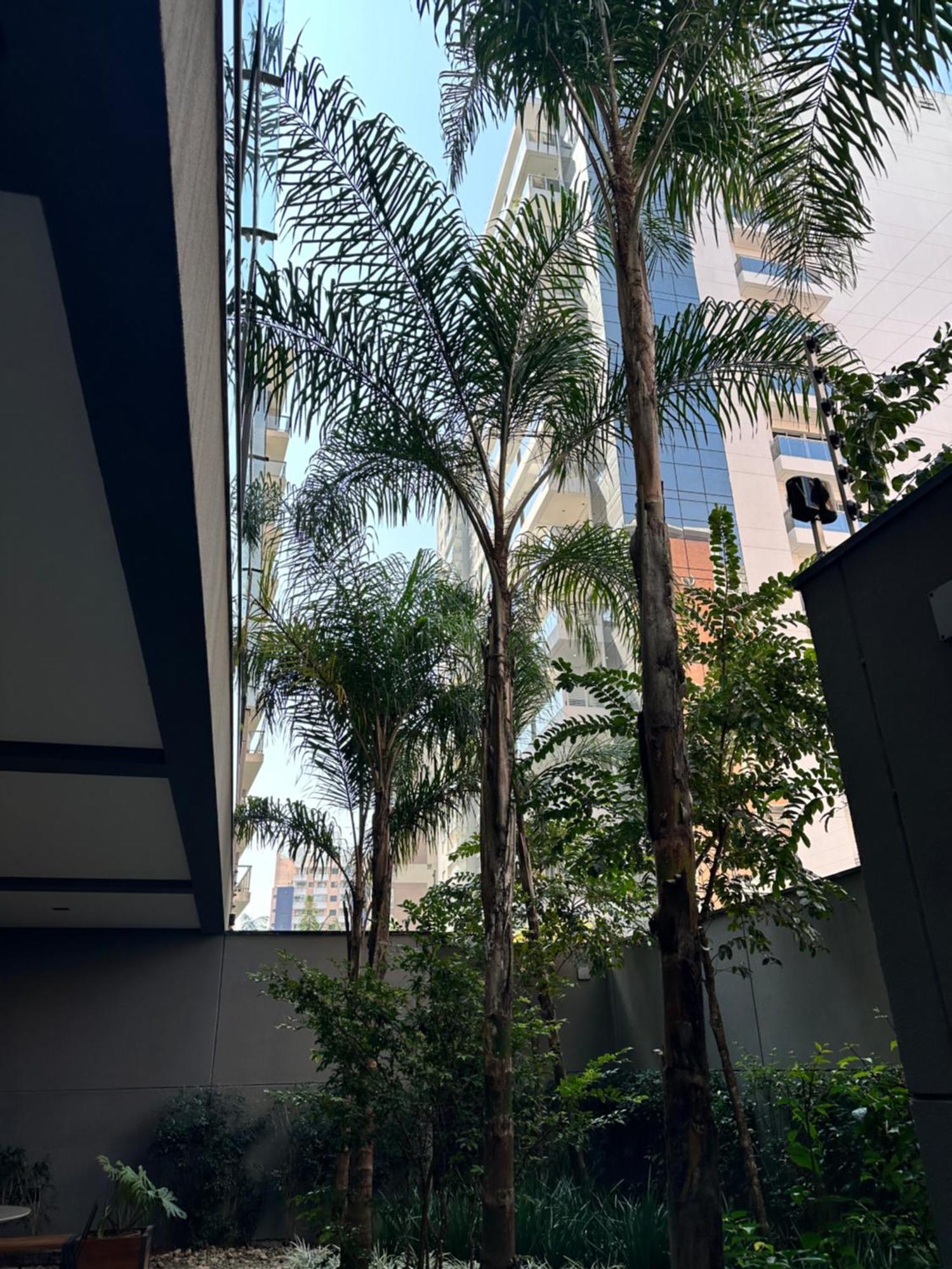 Ap102 Prox Paulista Com Varanda Retiro Urbano Daire Sao Paulo