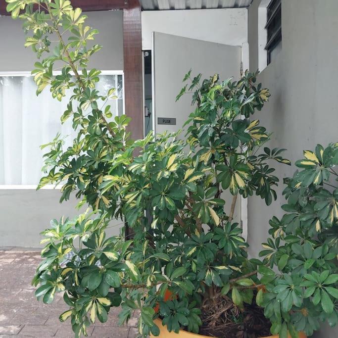 Casa A 1,4 Km Do Autodromo De Interlagos Percurso A Pe Nhà nghỉ *