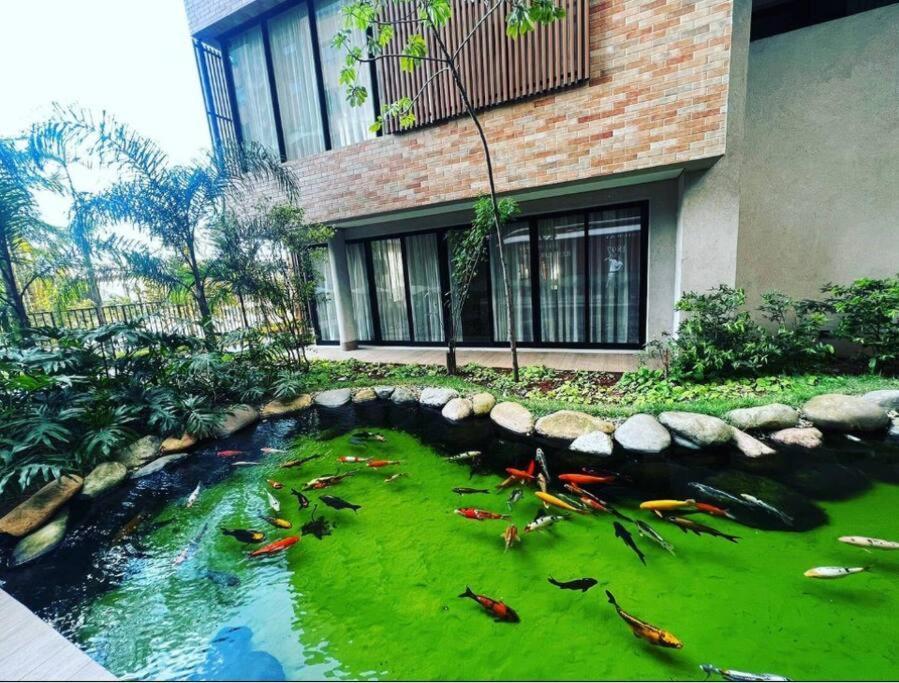 Ap Garden Em Bras, Expo Center Apartment