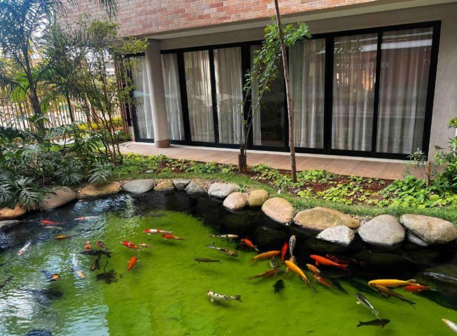Ap Garden Em Bras, Expo Center Apartment *