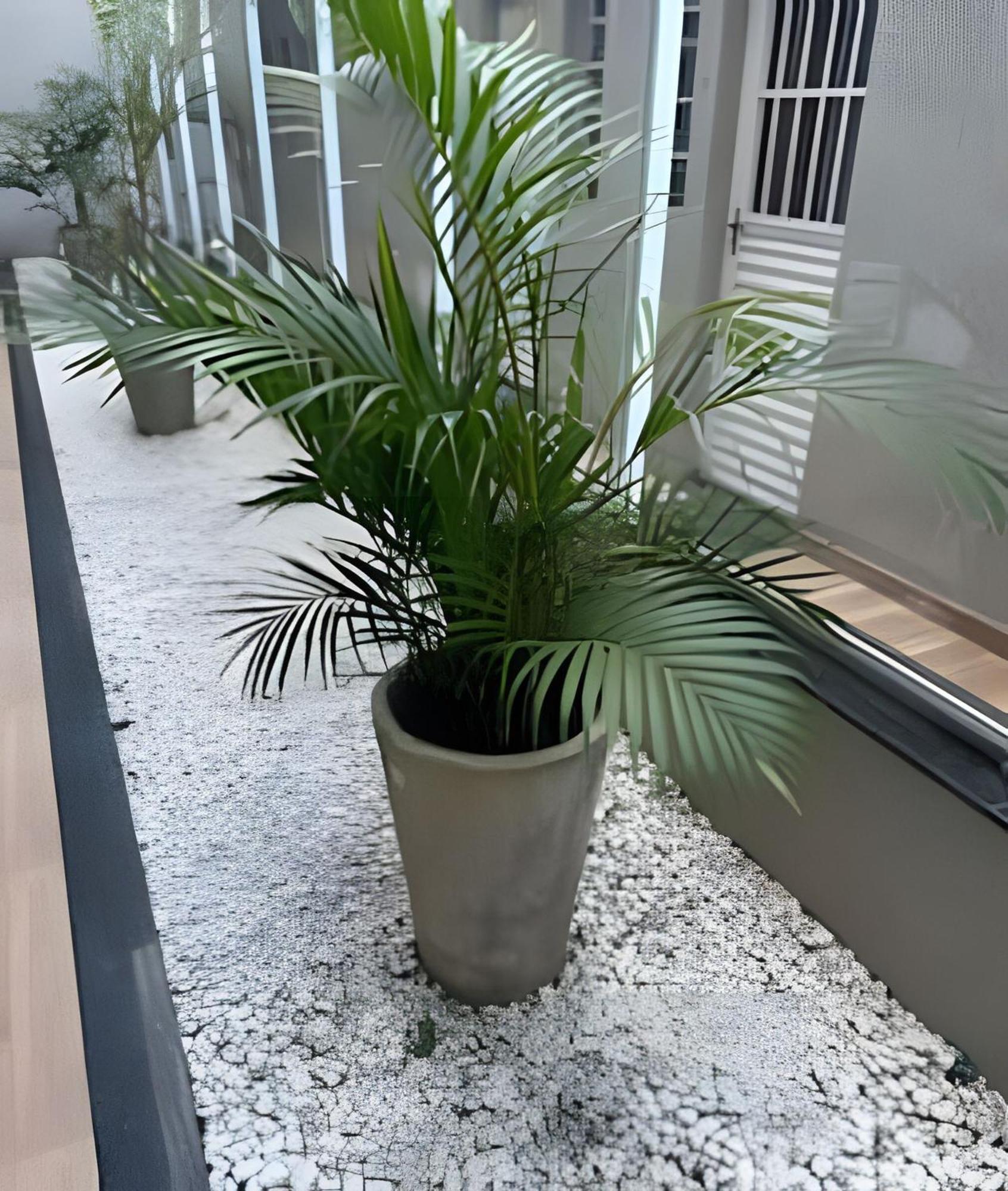Apartment New - Confortavel, Novo E Lindo