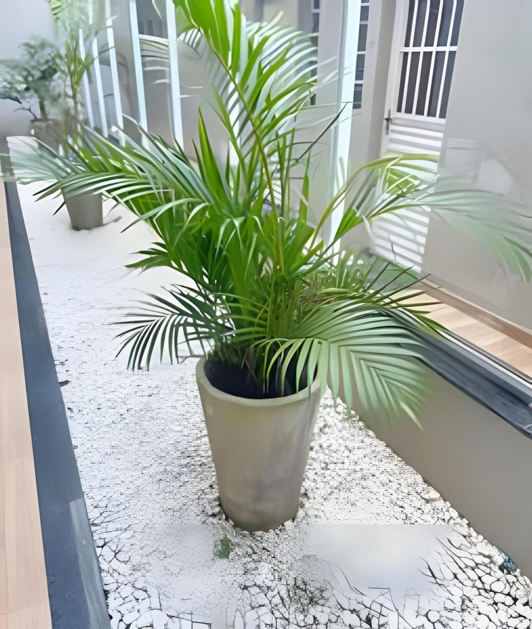 Apartment New - Confortavel, Novo E Lindo