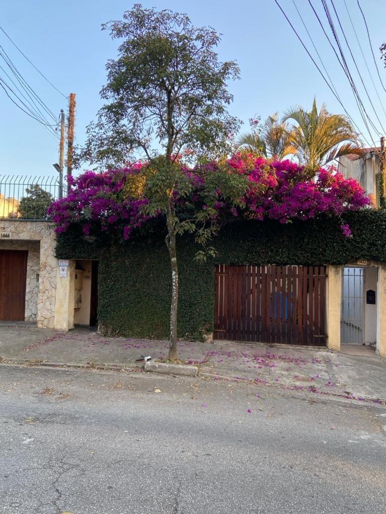 Holiday home Casa Espacosa Na Romana *