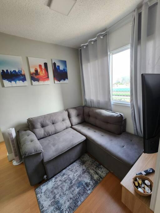 Apartment Ap Proximo Ao Allianz E Barra Funda Sao Paulo