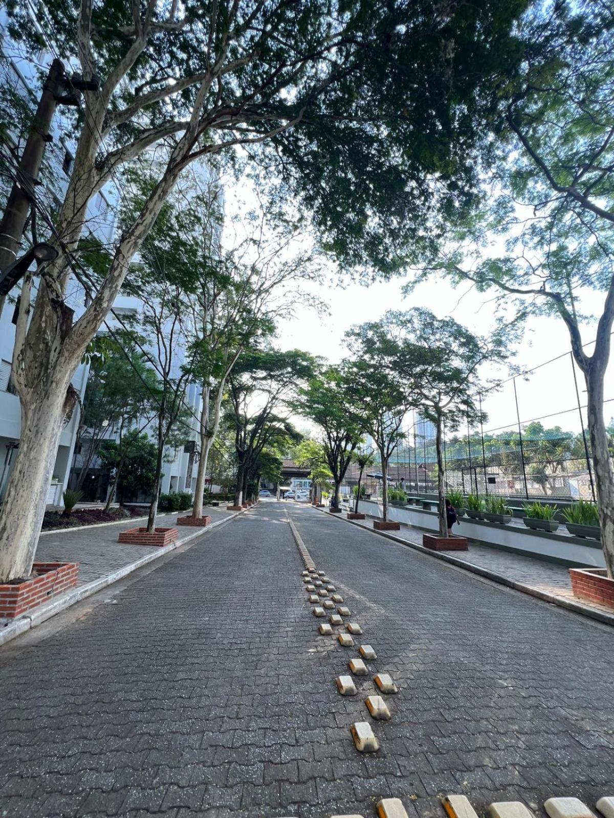 Amazonas, Ibc, Aeroporto Congonhas, Expo Transamerica, Pq Da Monica,, Pne, The Tow, Lolla Palluza Apartment *