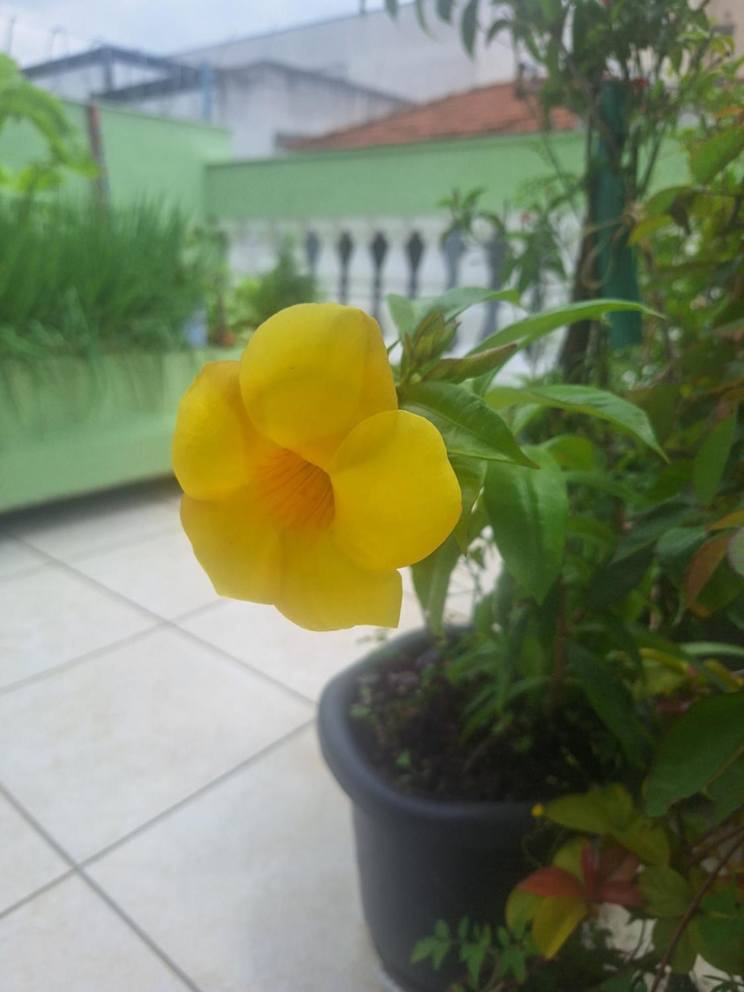 Privado Chacara Santo Antonio