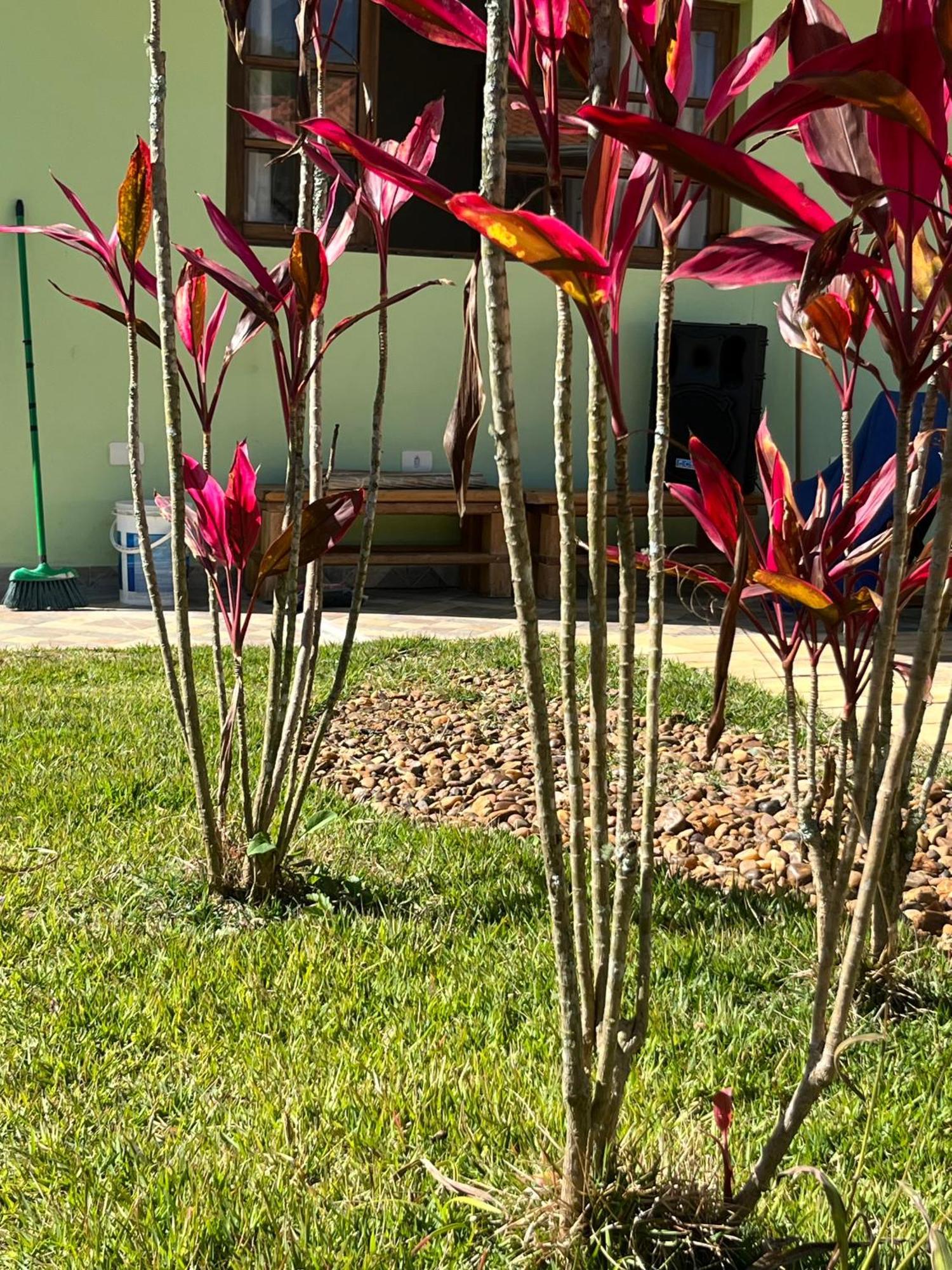 Chacara Em Parelheiros Holiday home *