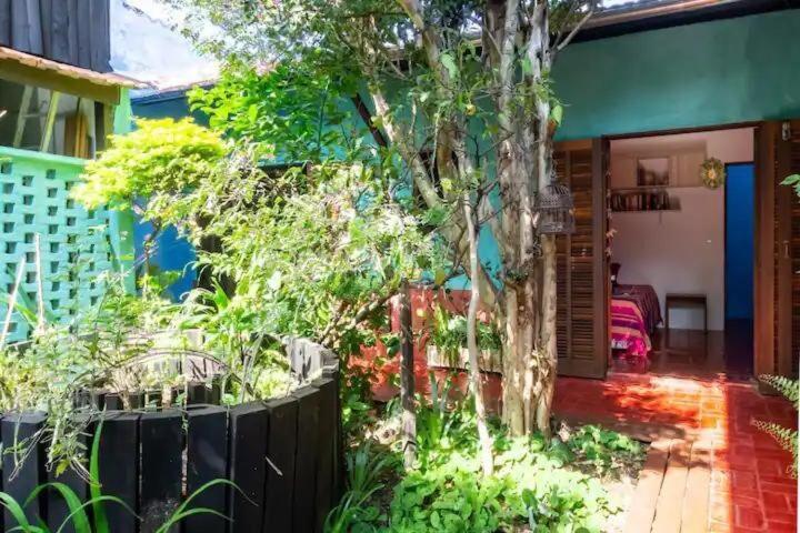 Casa Espacosa, Jardim Enorme, Refugio Natureza Sp Villa *