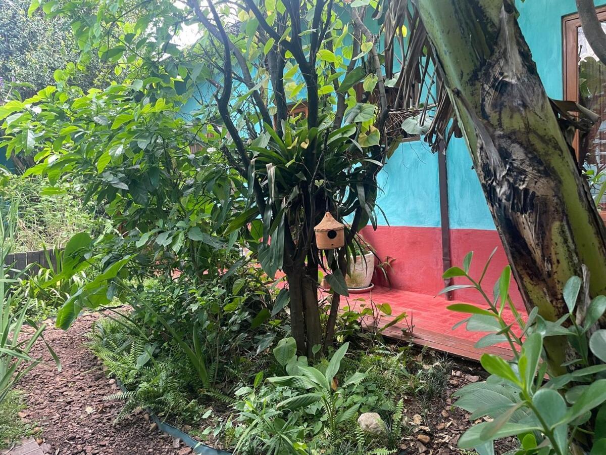 Casa Espacosa, Jardim Enorme, Refugio Natureza Sp Sao Paulo