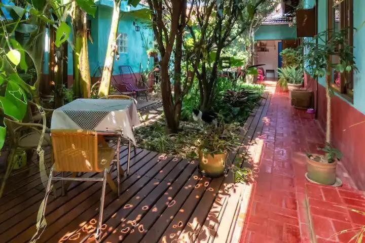 Casa Espacosa, Jardim Enorme, Refugio Natureza Sp Sao Paulo