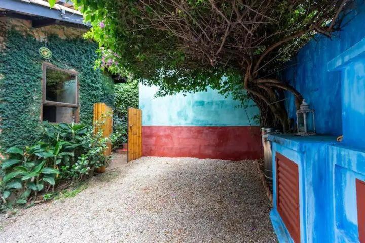 Casa Espacosa, Jardim Enorme, Refugio Natureza Sp * Sao Paulo