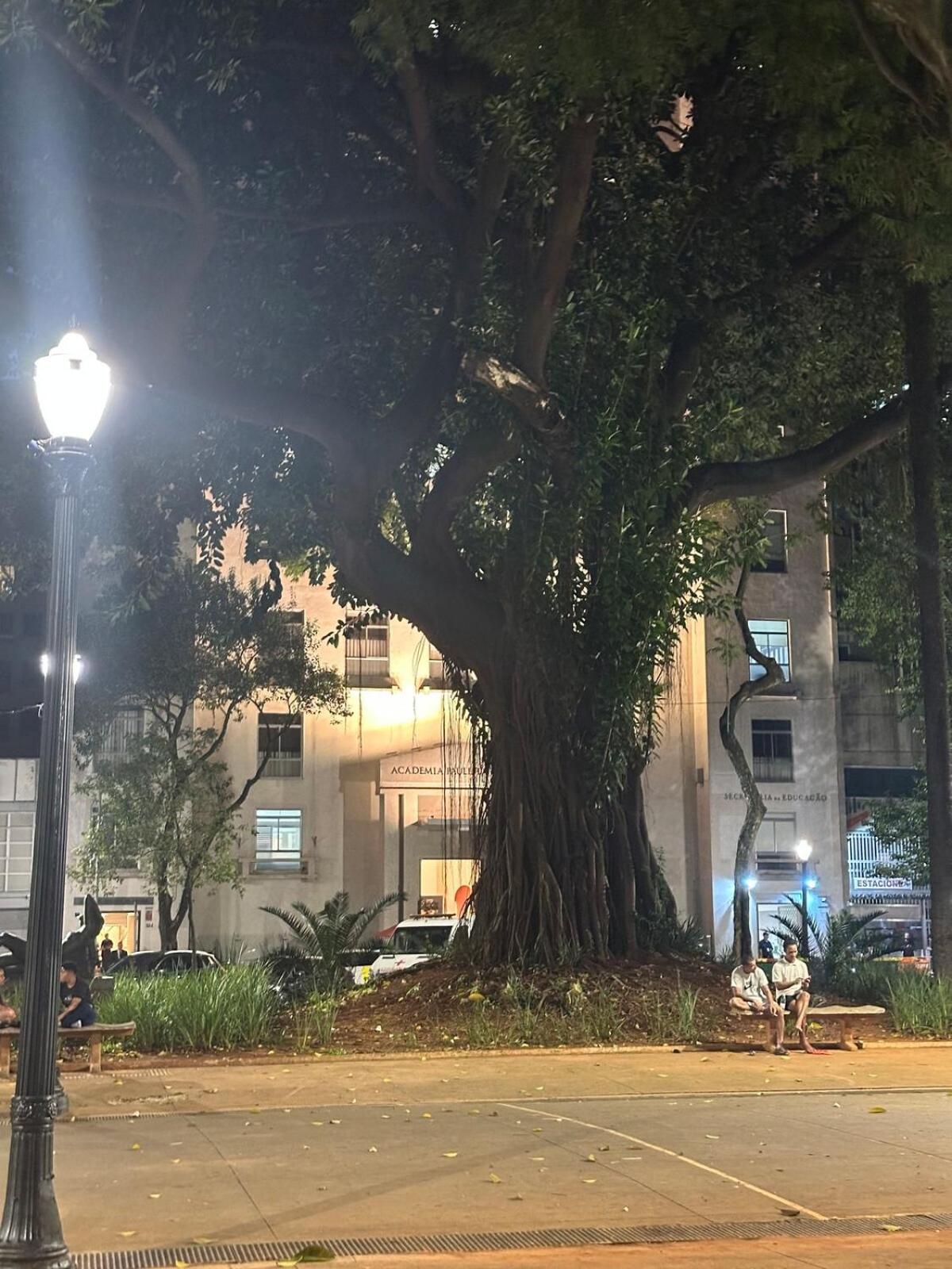 Arco-iris Do Arouche *