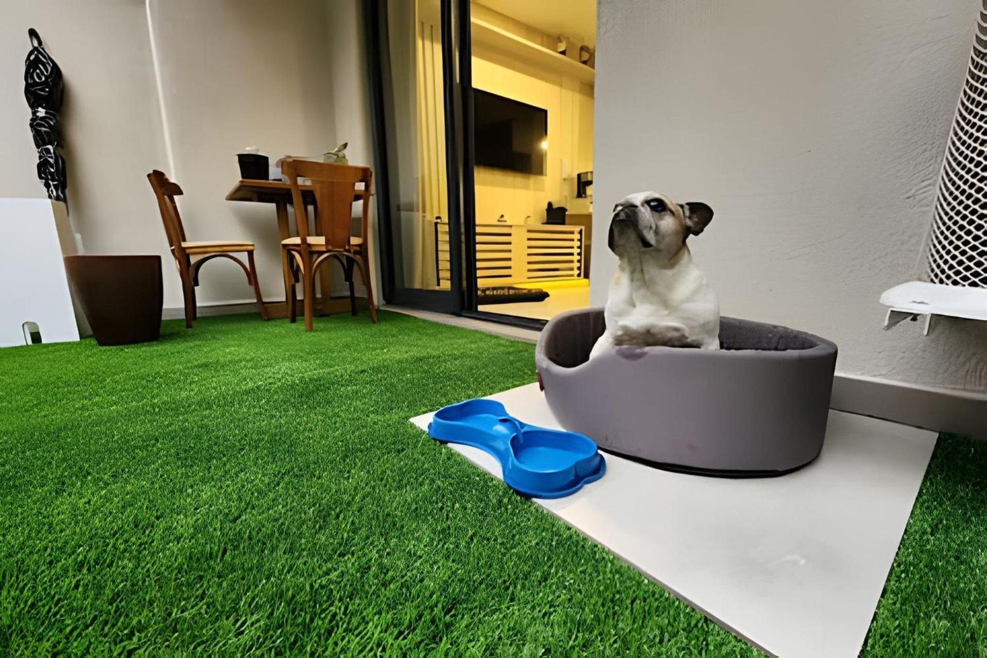 Apartment Buarque - Garden + Pet Friendly São Paulo