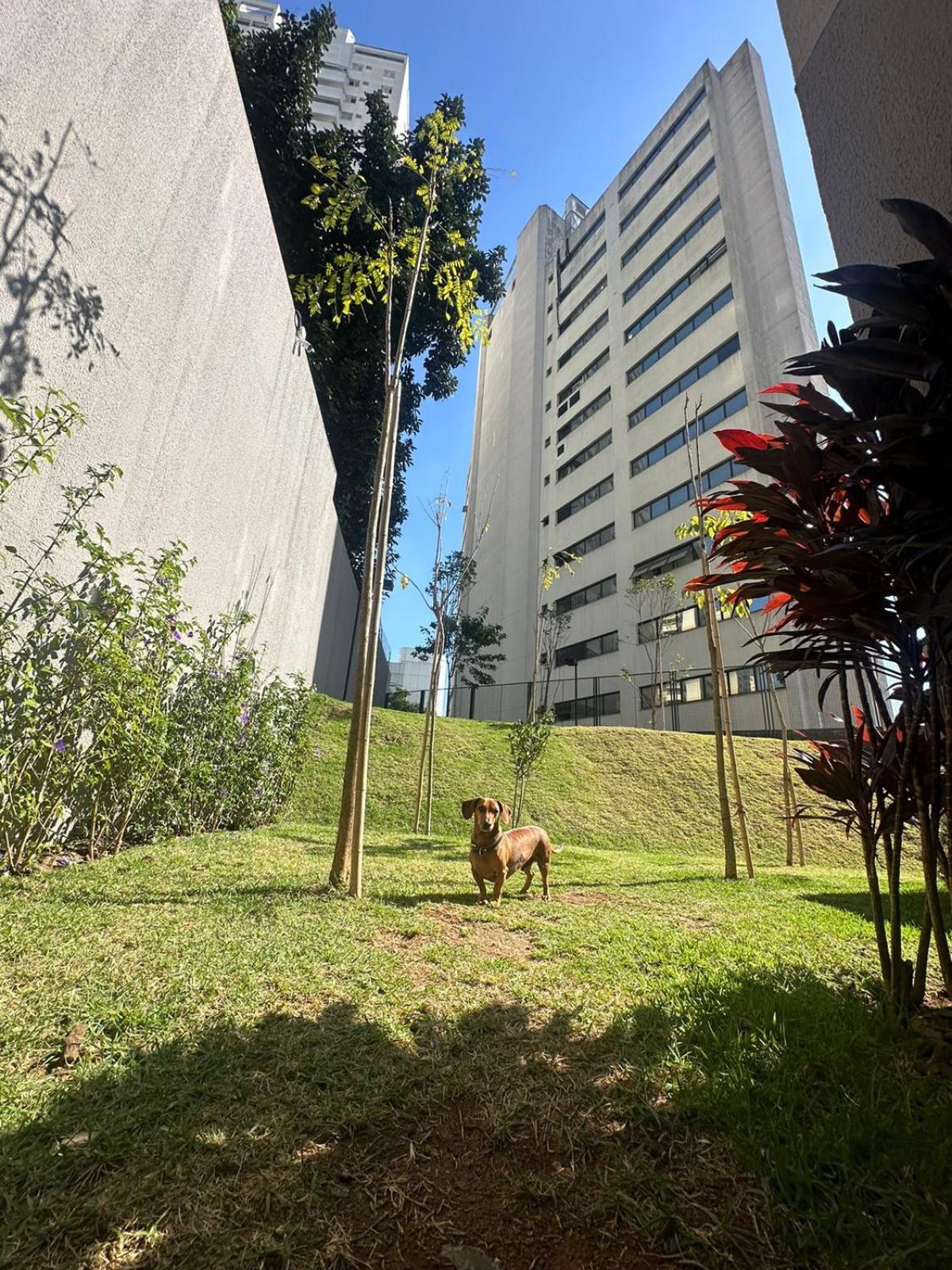 - Allianz Parque Apartemen *