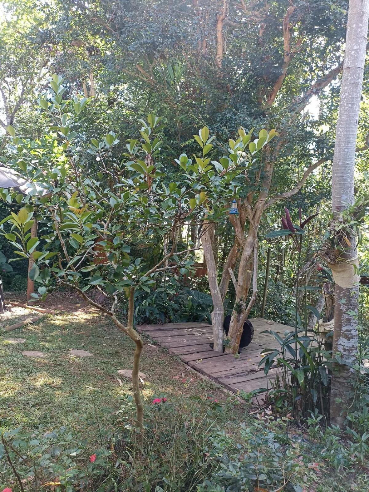 Holiday home Casa Container Na Mata Atlantica Sao Paulo