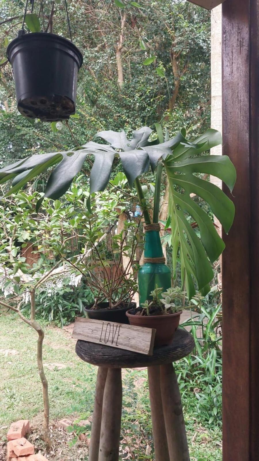 Holiday home Container Na Mata Atlantica *
