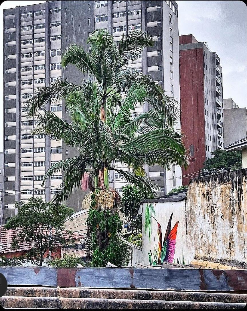 Casa Fractal * Sao Paulo