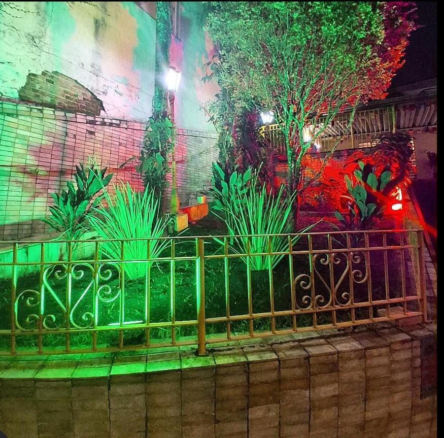 Homestay Casa Fractal