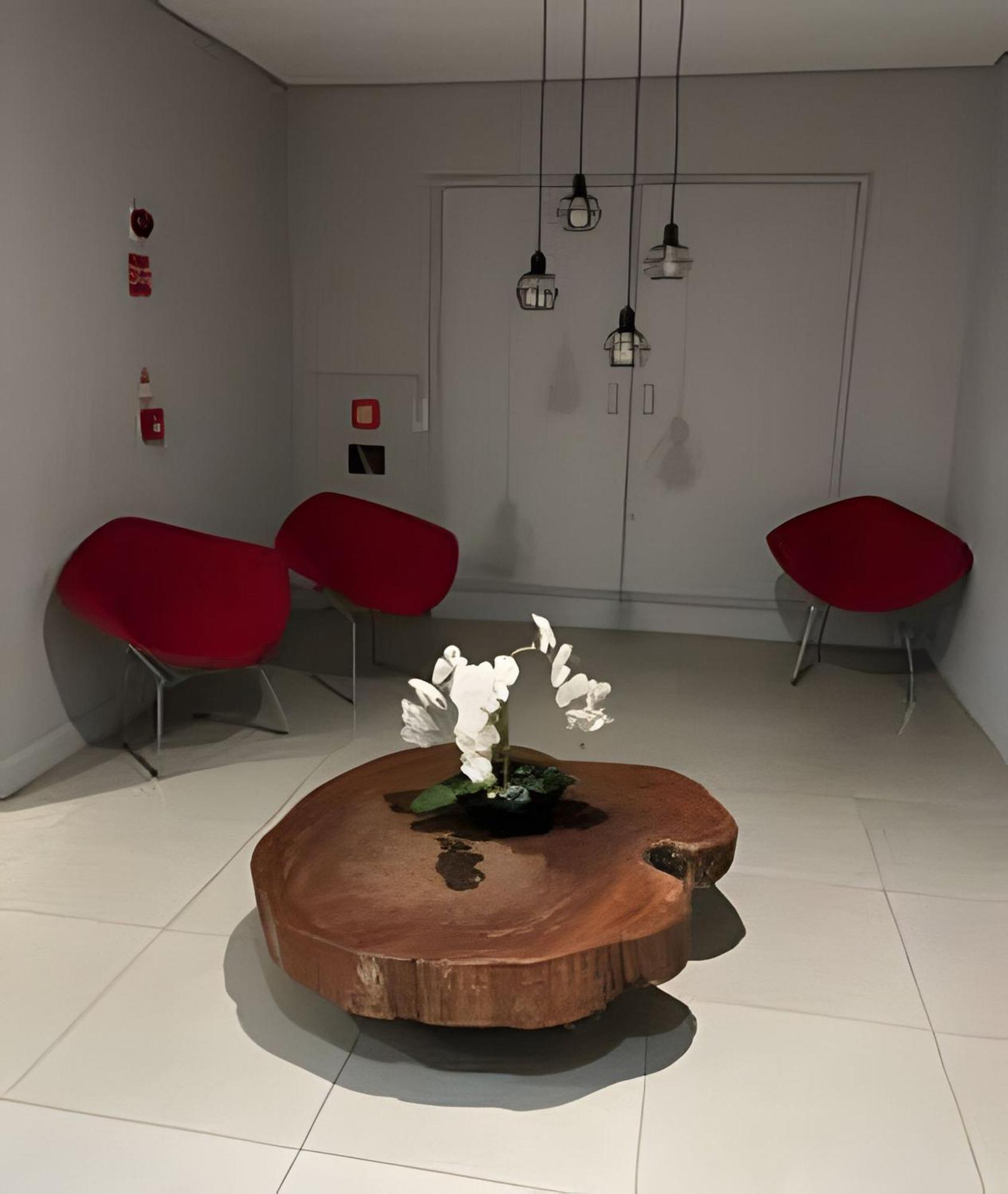 Apartment Lindo Bem Localizado Com Garagem 1601