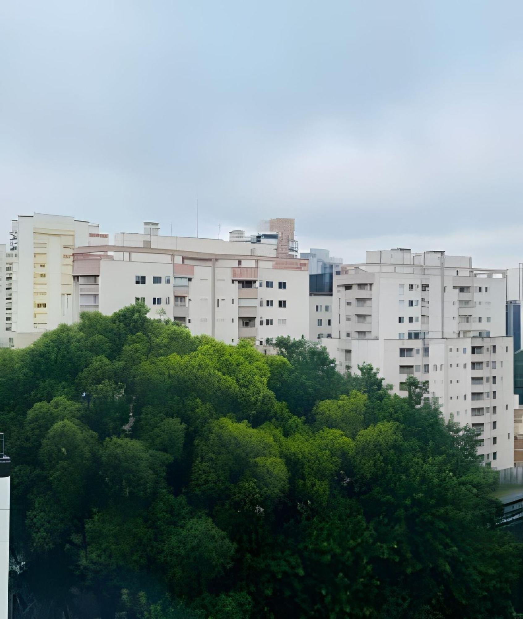Apartment Localizado Na Bela Cintra / Aconchegante Sao Paulo