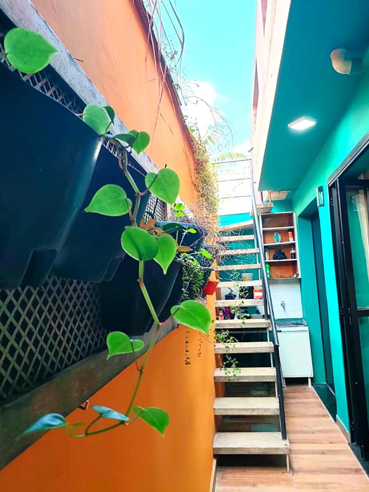 Casa 373 - Mariana - Valores Acessiveis Sao Paulo