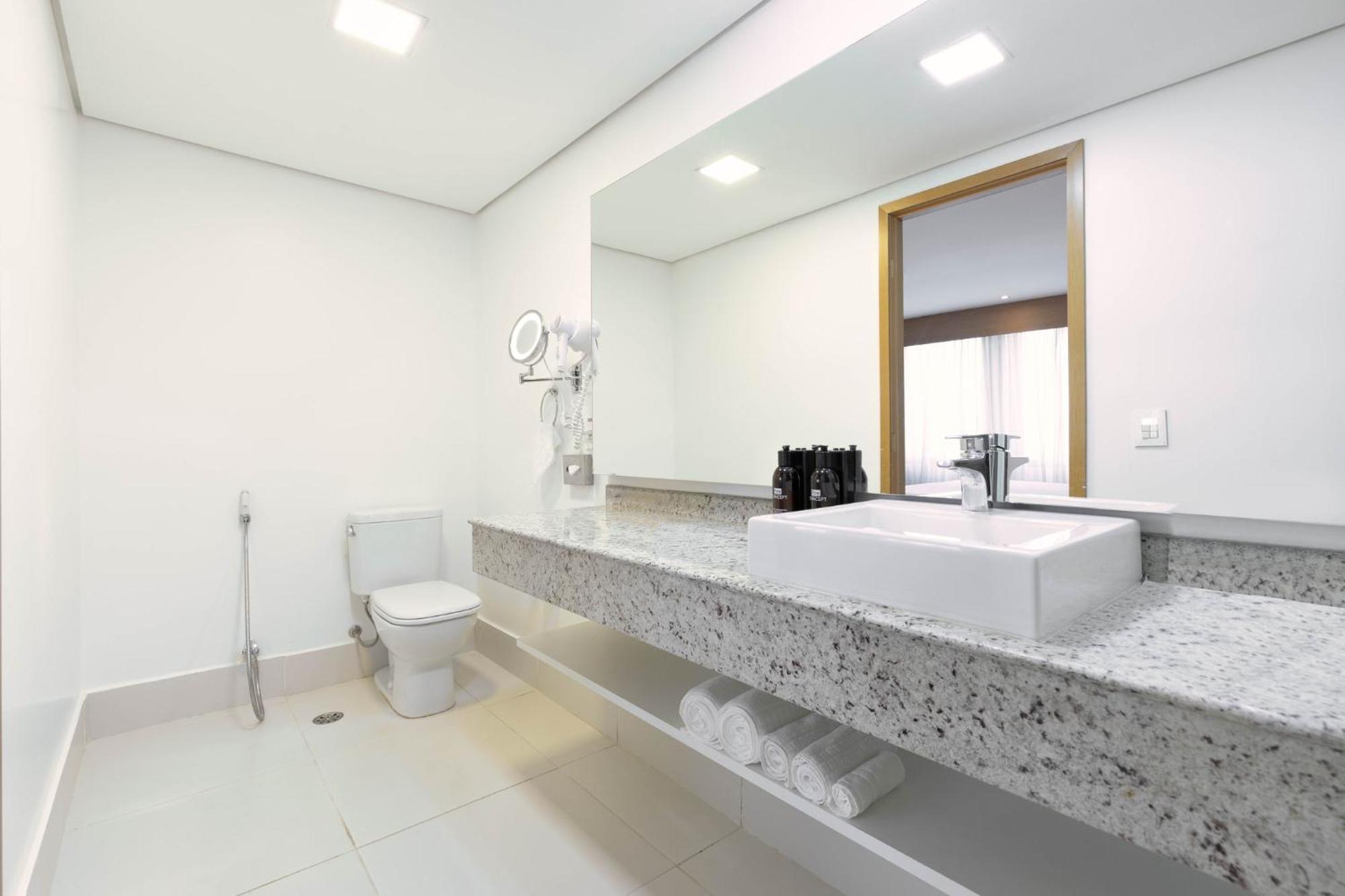 Hotel Parque Anhembi By Ihg 4*
