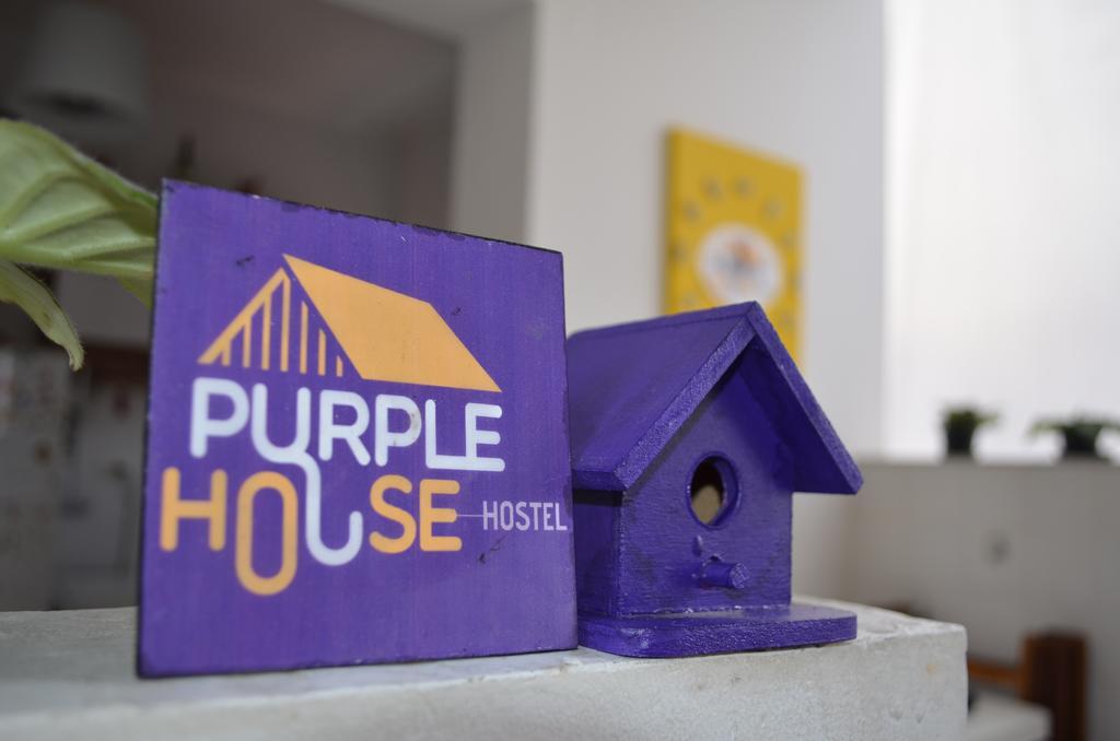 Hostel Purple House
