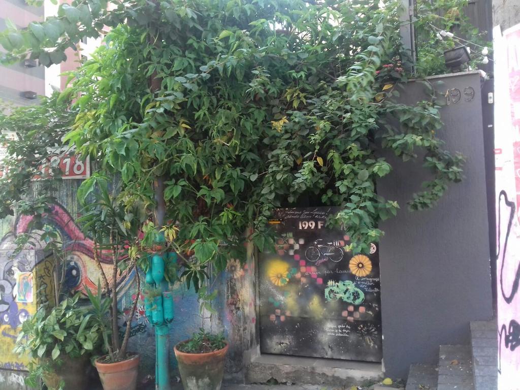 Asrama Girassol Madalena Sao Paulo