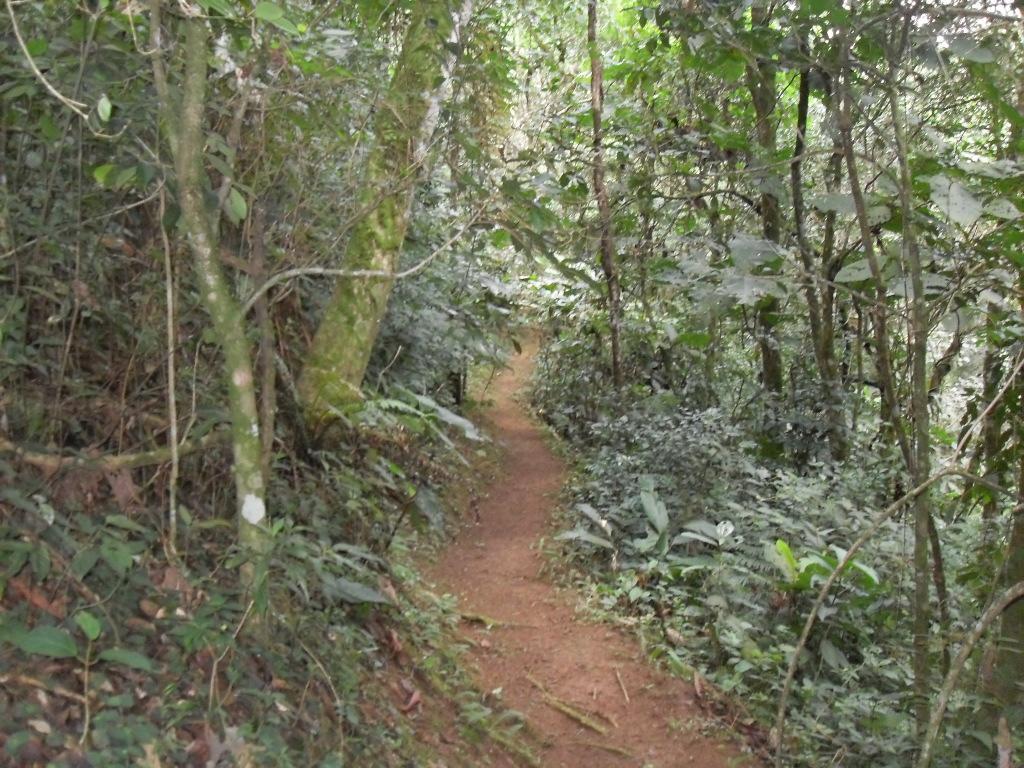 Guest house Itaky 50km De Monte Verde