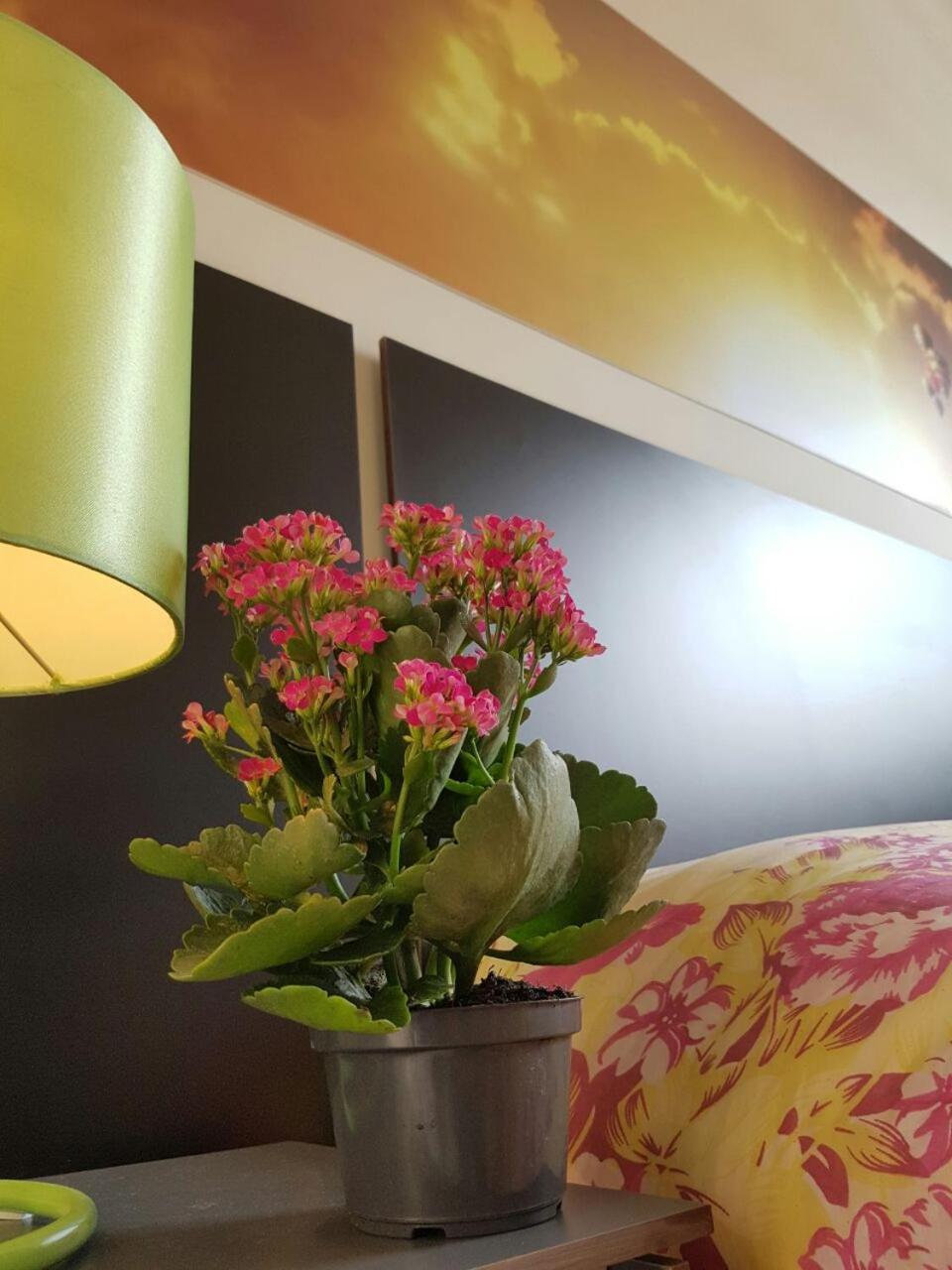 Apartamento Ana Laura *