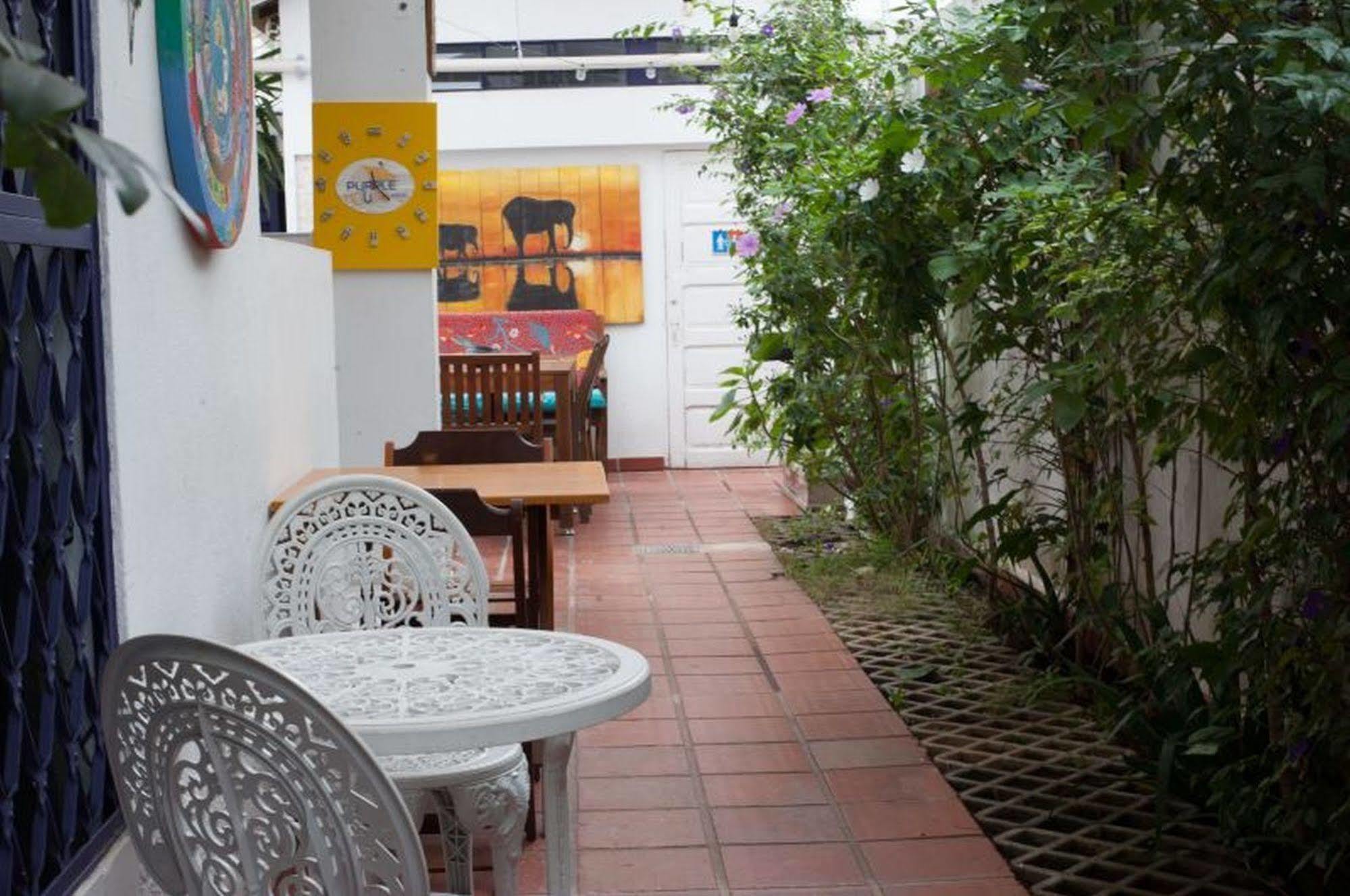Purple House Hostel *