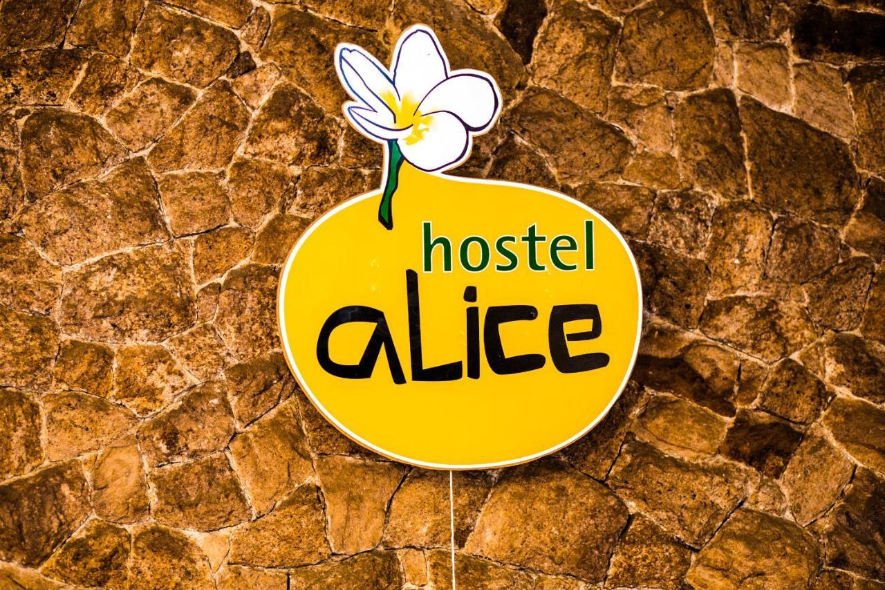 Alice E Padoca Vegan Hostel *
