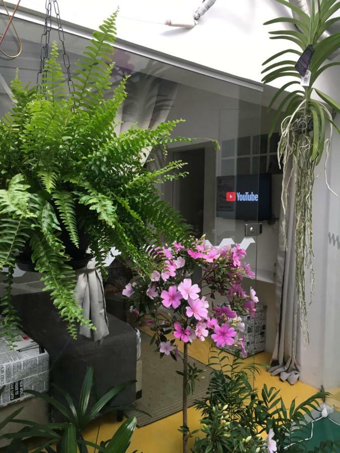 Augusta Jardins Hospedagem domiciliar