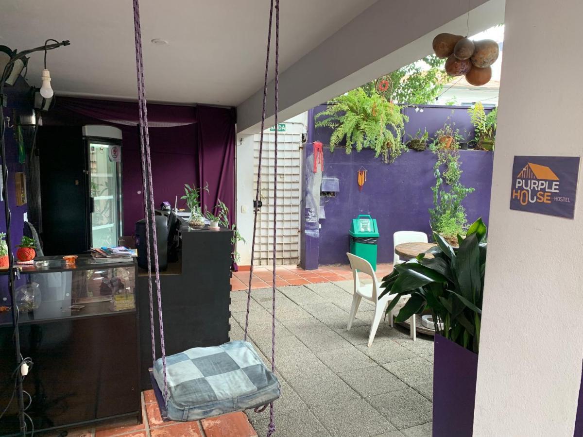 Purple House Hostel