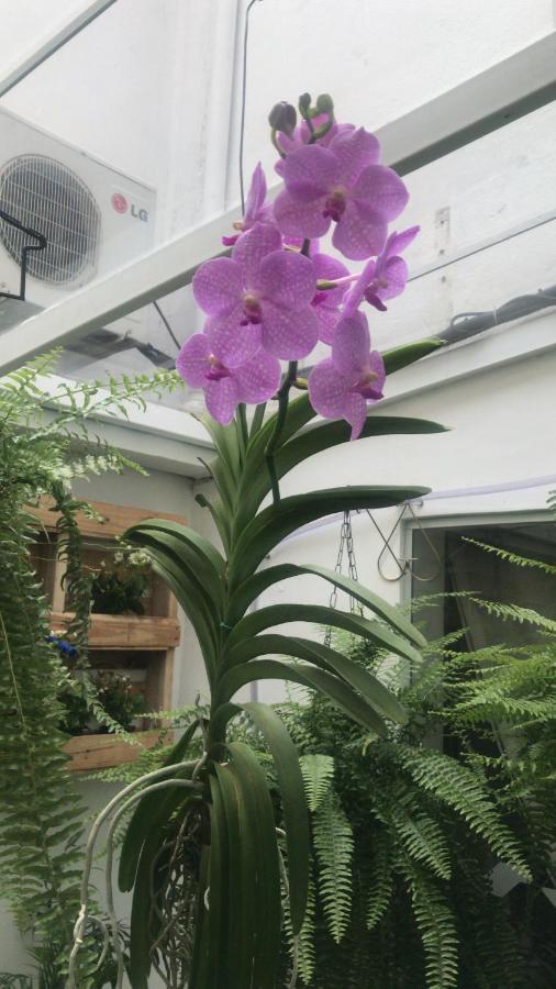 Augusta Jardins *