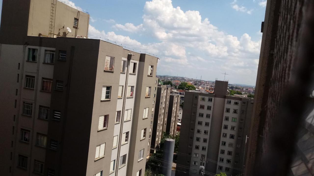 Zarit Pop * São Paulo