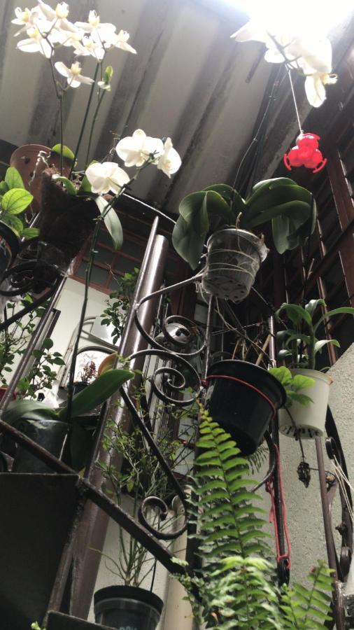 Hospedagem domiciliar Augusta Jardins *