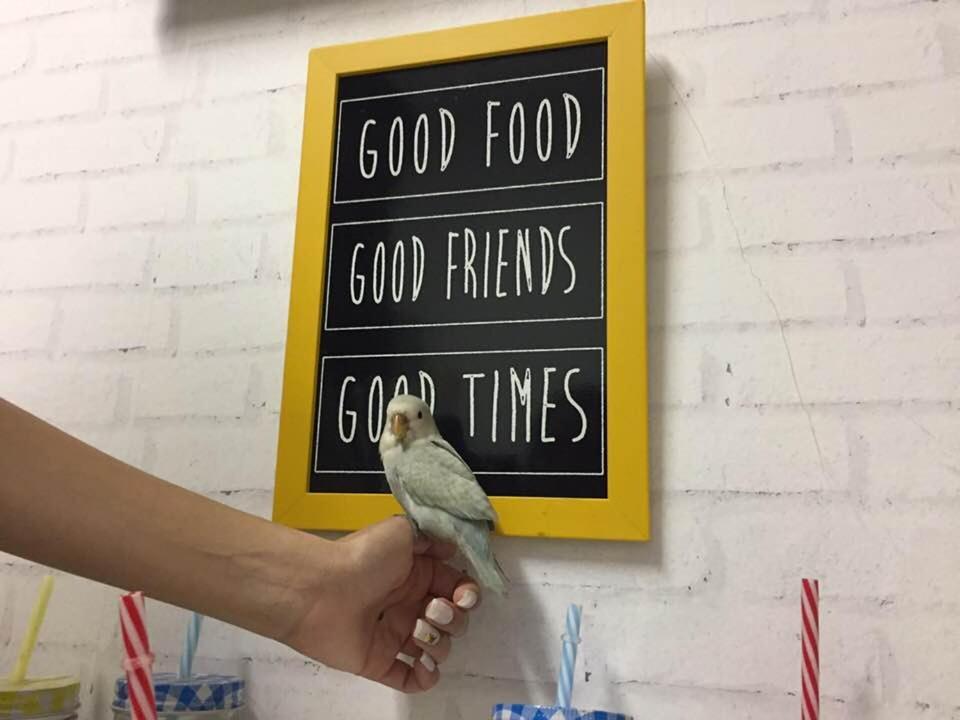 Acomodação com café da manhã  Friends Paulista , São Paulo