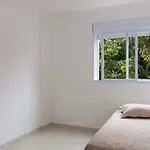 Ape 2