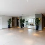 Novo Studio Coral Metro Belem Com Piscina