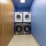 360 Praca Da Arvore