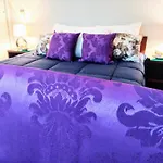 Luxxor Hotel Ml Ibirapuera