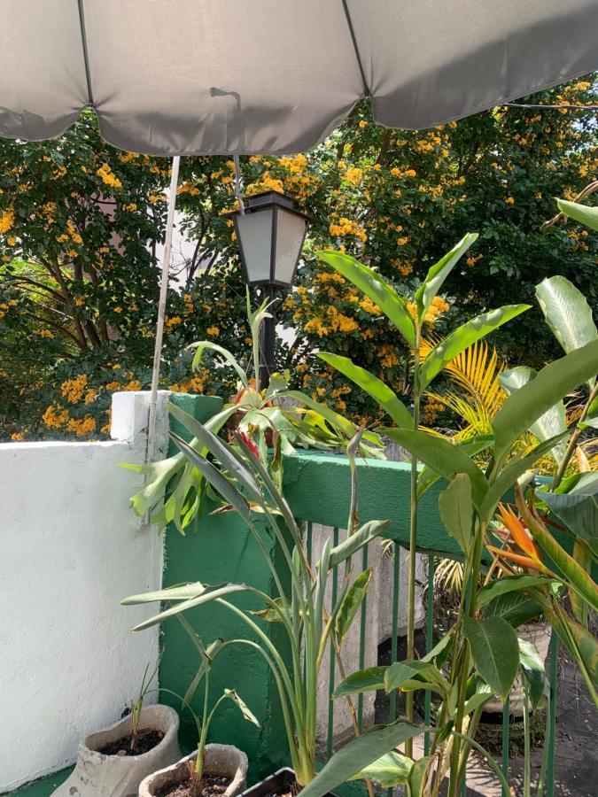 Privativo - Casa Pe De Acai - Proximo Ao Allianz Parque Guest house *