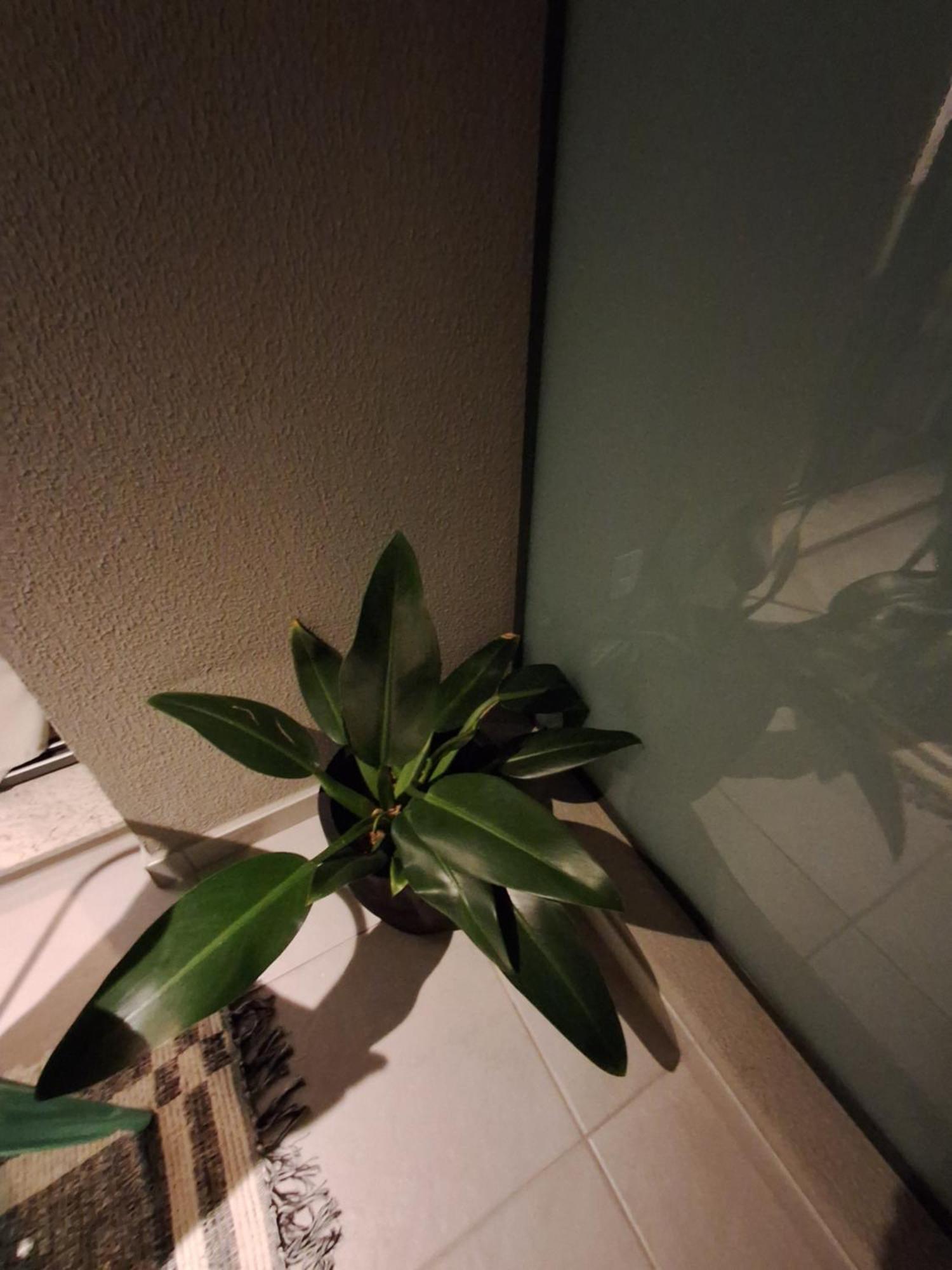 Apartment Cafofinho Decor