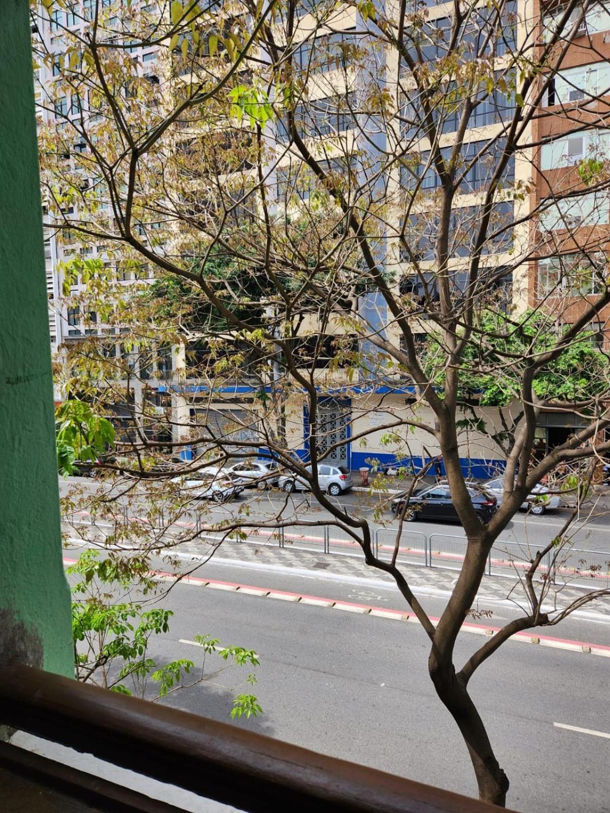 Fujima * Sao Paulo