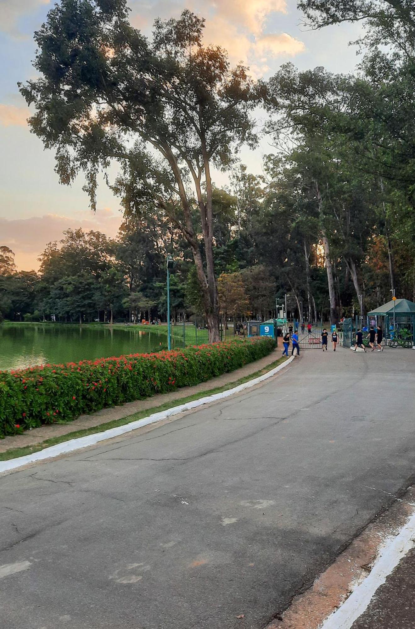 Completos Proximo Ao Parque Do Ibirapuera - Helbor Nun Nova *